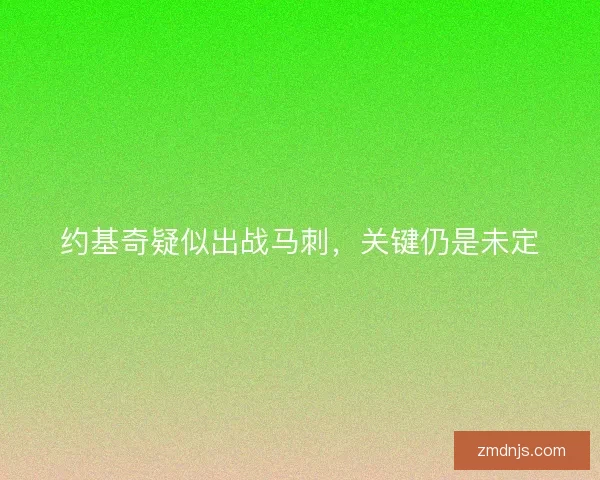 约基奇疑似出战马刺,关键仍是未定 约基奇疑似出战马刺,关键仍是未定
