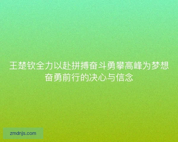 王楚钦全力以赴拼搏奋斗勇攀高峰为梦想奋勇前行的决心与信念