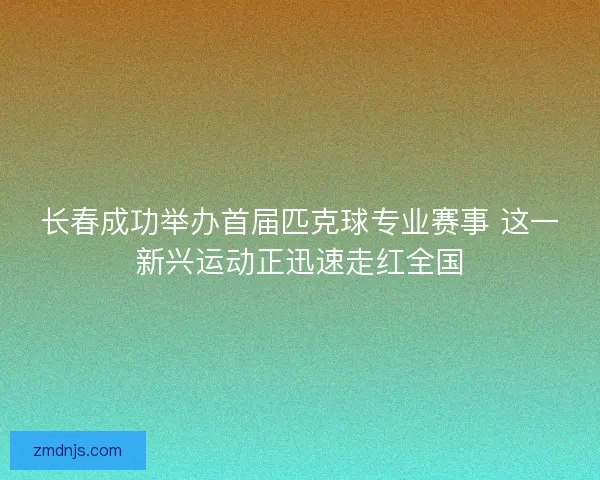 长春成功举办首届匹克球专业赛事 这一新兴运动正迅速走红全国