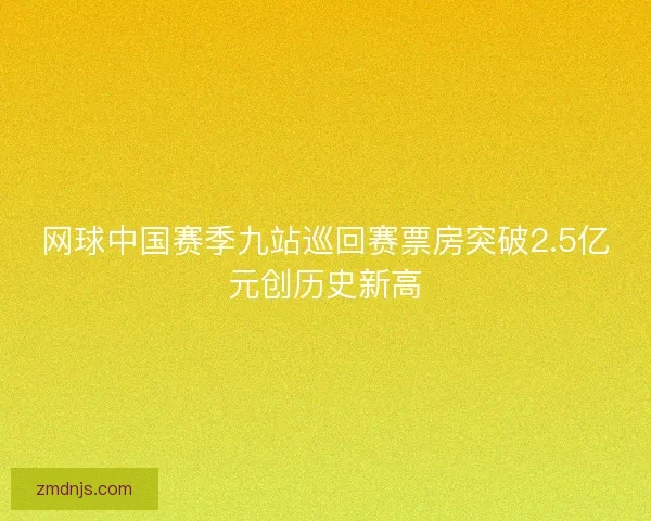 网球中国赛季九站巡回赛票房突破2.5亿元创历史新高