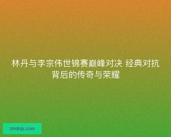 林丹与李宗伟世锦赛巅峰对决 经典对抗背后的传奇与荣耀