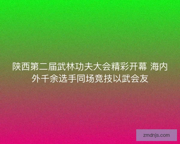 陕西第二届武林功夫大会精彩开幕 海内外千余选手同场竞技以武会友