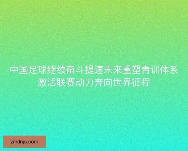 中国足球继续奋斗提速未来重塑青训体系激活联赛动力奔向世界征程